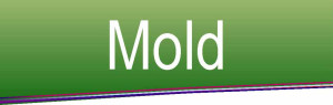 Mold Flyer Tag