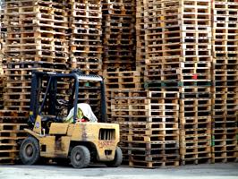 pallets stacked by a safe forklift driver 