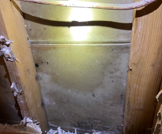 mold growth on the inside of a wall