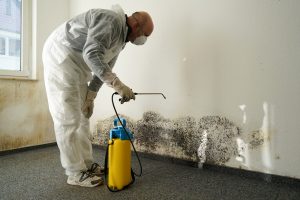 mold remediation specialist in a hazmat suit